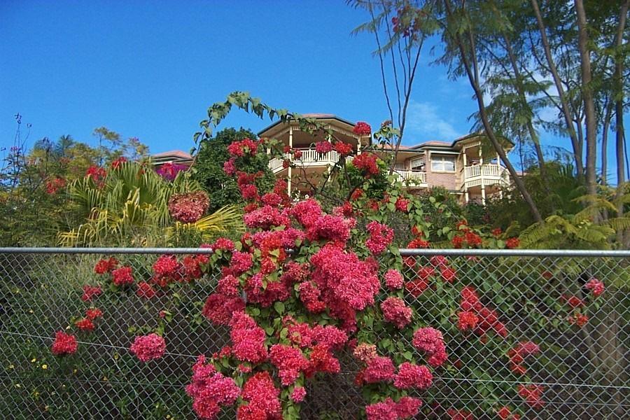 Ferienwohnung Tranquil Garden Hideaway Ormeau Exterior foto